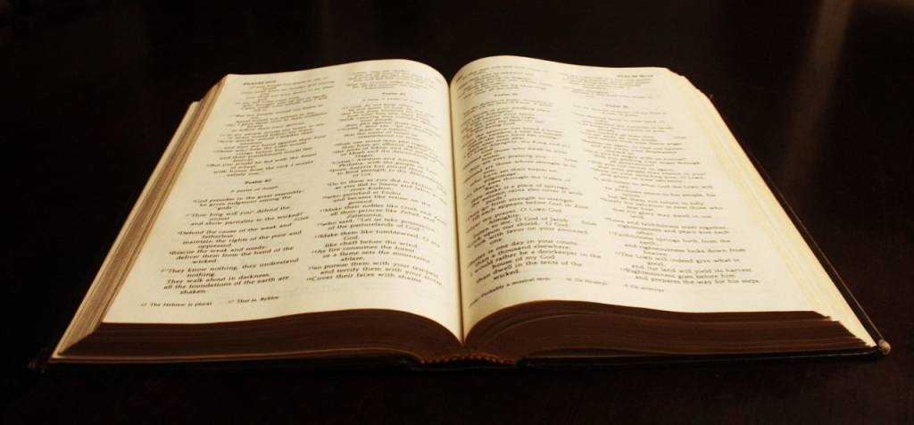 book, bible, text, literature, christianity, old, study, spiritual, learn, learning, knowledge, god, christian, religion, studying, open bible, antique, bible study, bible, bible, bible, bible, bible, open bible